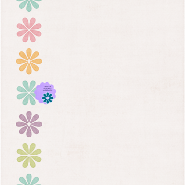 Spring Colour Flowers Border