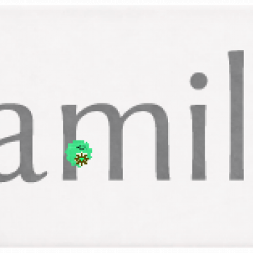 Wedding Story. Grey Words Family