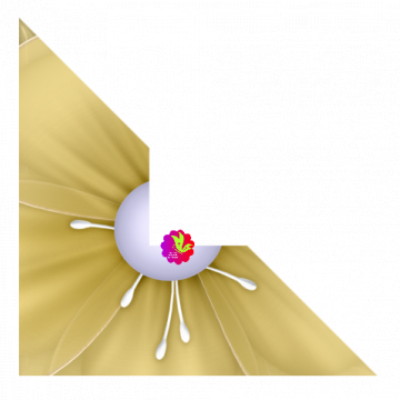 Yellow Flower Photo Corner