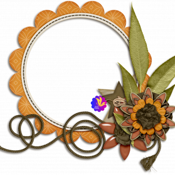 Yellow Sun Flower. B